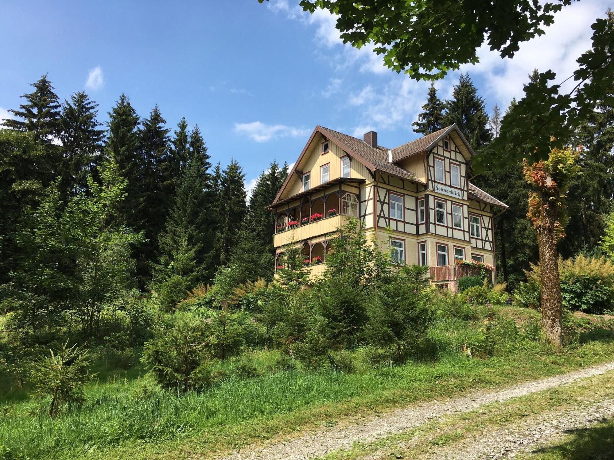 Апартаменти Haus Sonnenblick Беннекенштайн Екстер'єр фото